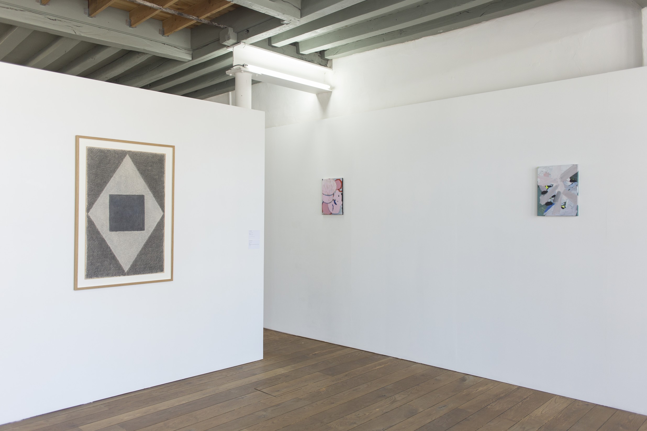 Emergent_June2019_Alexandra Colmenares_120small