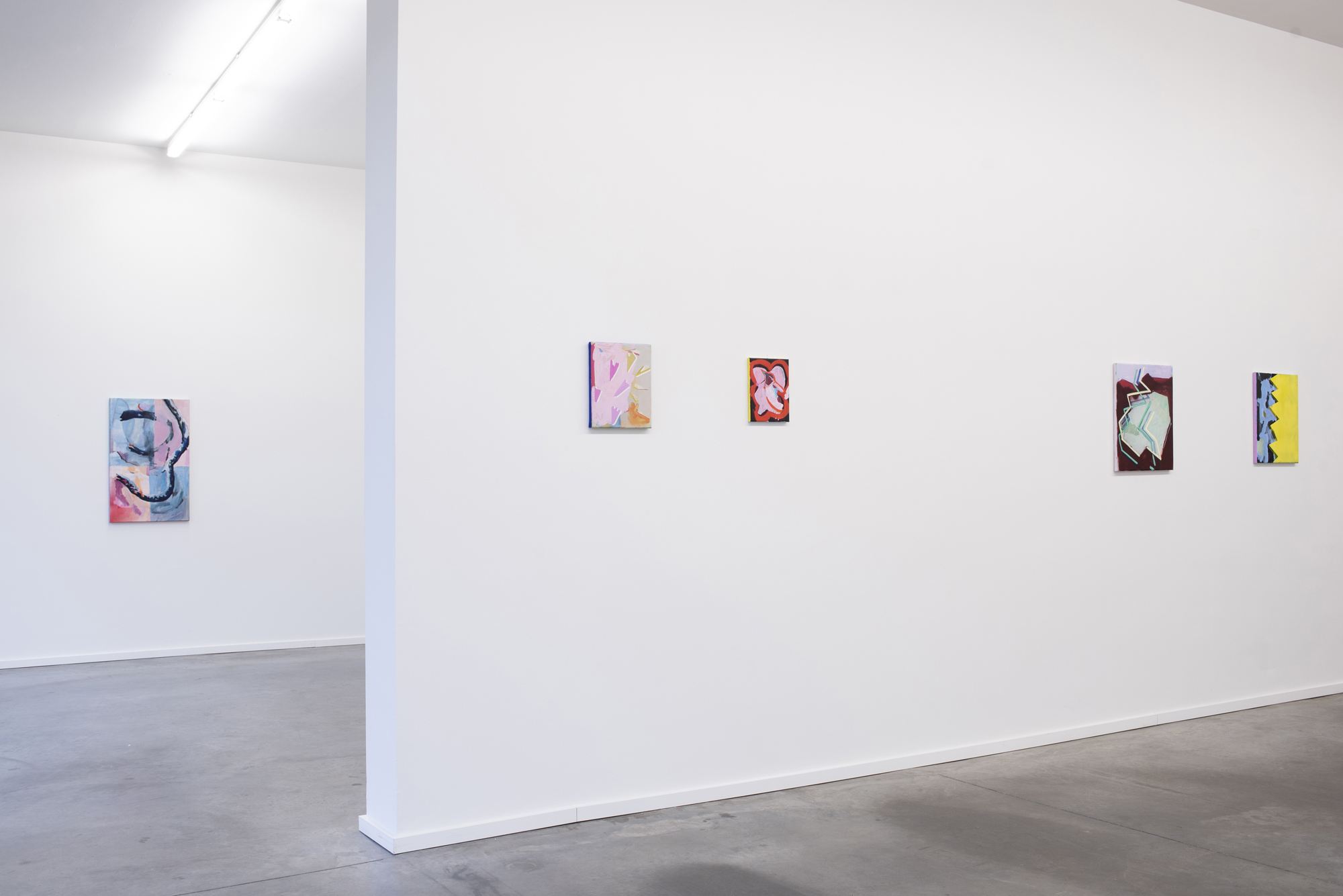 CatharinaDhaen_InstallationViews_1